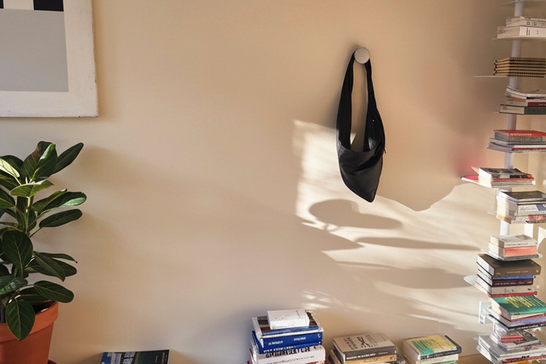 Sunny on the wall, holding a bag in afternoon sun